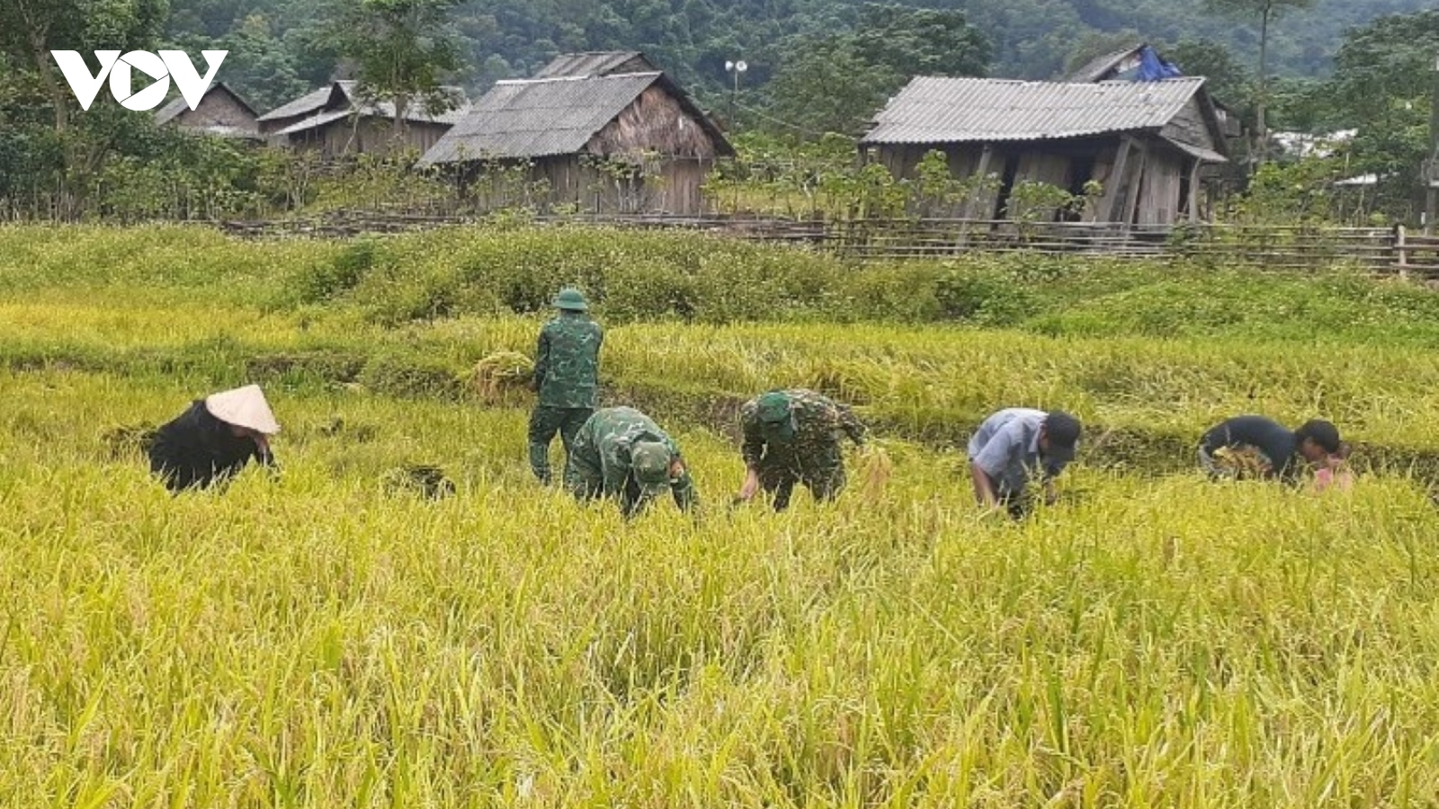 Trao “cần câu” sinh kế giúp đồng bào thoát nghèo